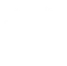 Lucy Black Garlic
