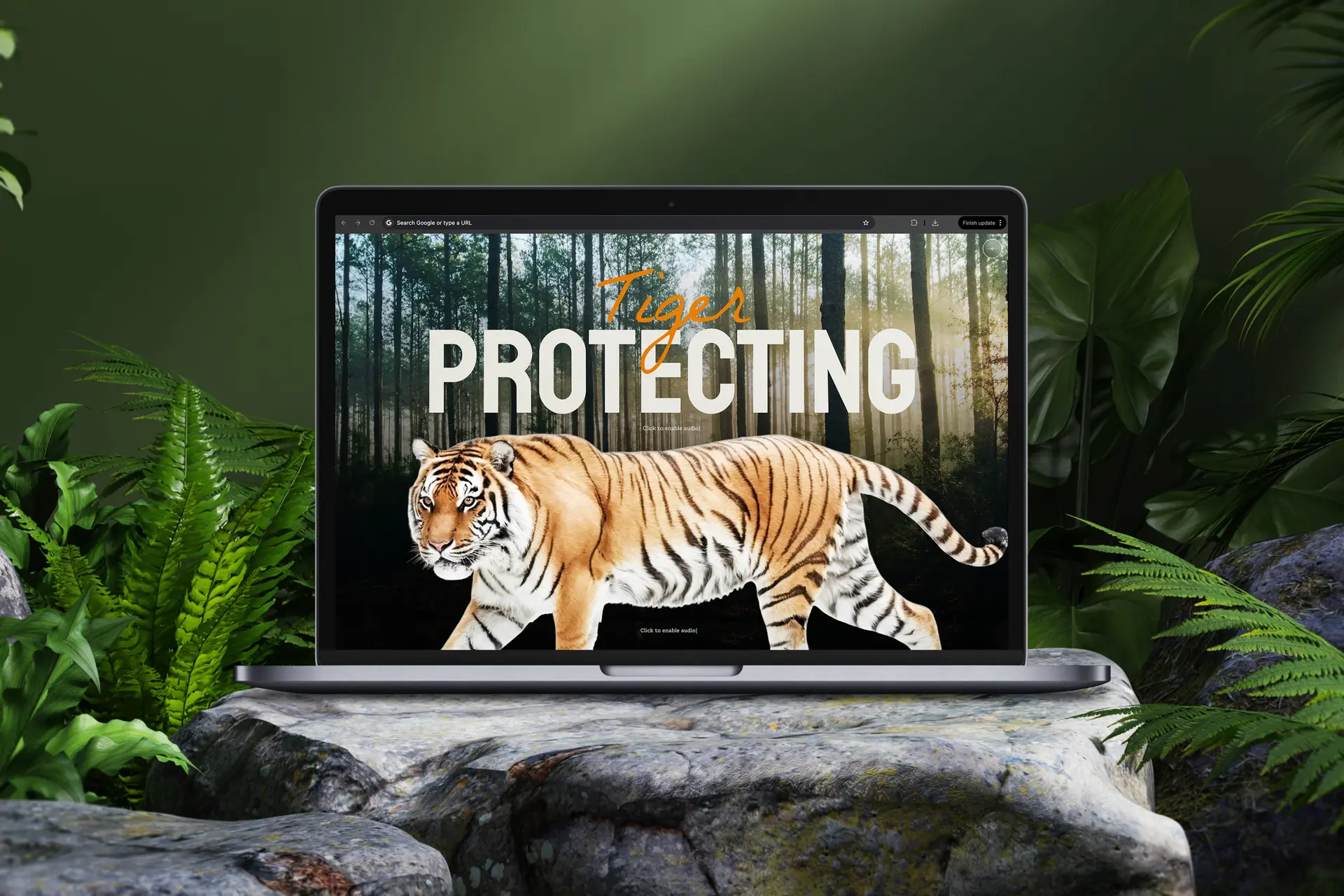 Tiger Protecting — view 2